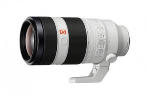 Sony Alpha ILCE-7 III (ILCE7M3) + SEL 24-105mm f/4.0 + FE 100-400mm OSS
