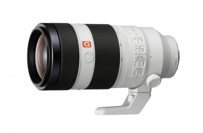 Sony Alpha ILCE-7 III (ILCE7M3) + SEL 24-105mm f/4.0 + FE 100-400mm OSS