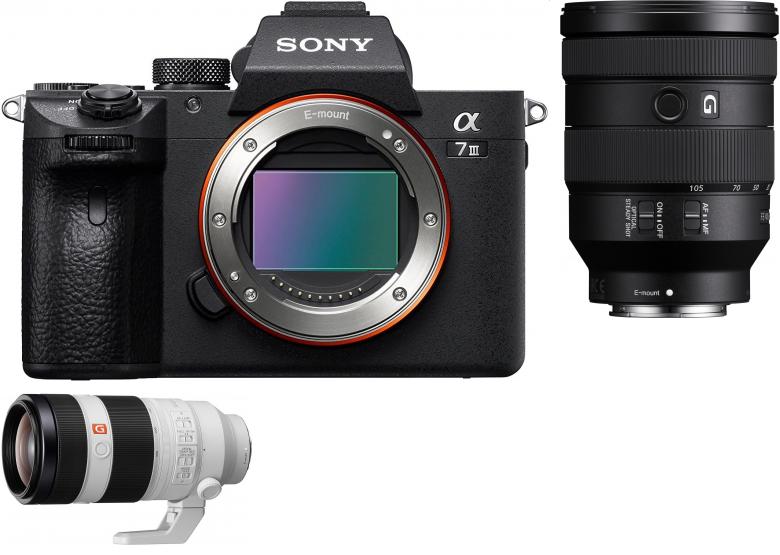 Sony Alpha ILCE-7 III sel 24 105mm f40 con FE 100 400mm OSS