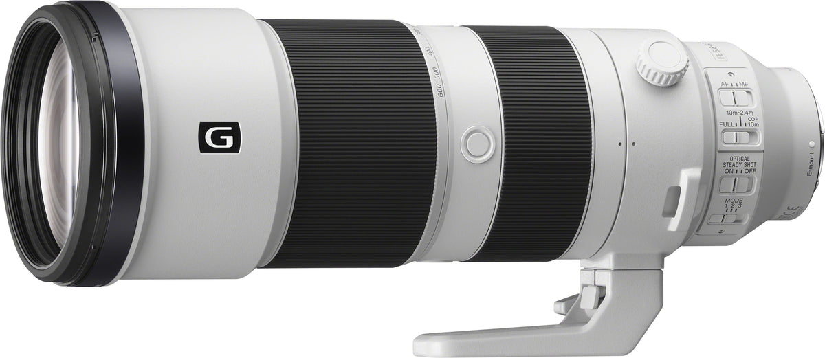 Sony Alpha ILCE-7 III + SEL 200-600 f5.6-6.3 G OSS