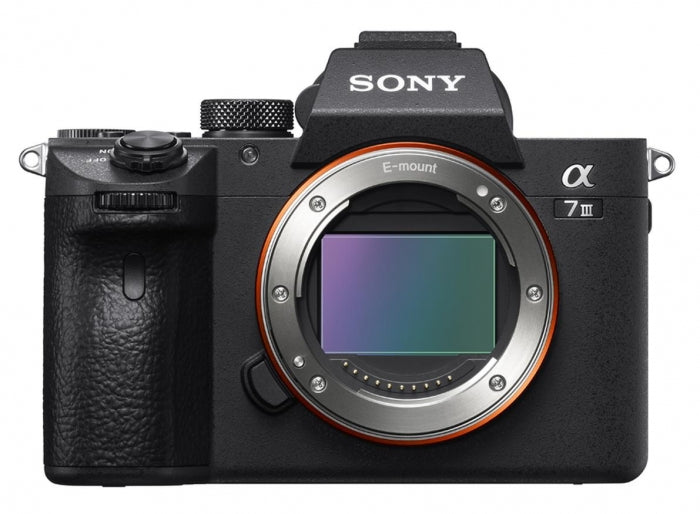 Sony Alpha ILCE-7 III + SEL 28-70mm + 100-400mm f/5.6-8 OSS