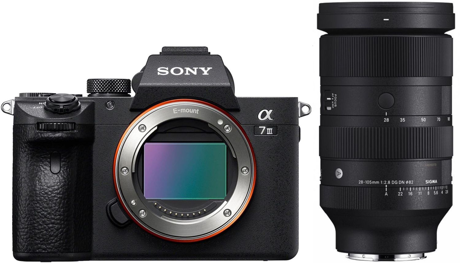 Sony Alpha ILCE-7 III + Sigma 28-105mm f/2.8 DG DN
