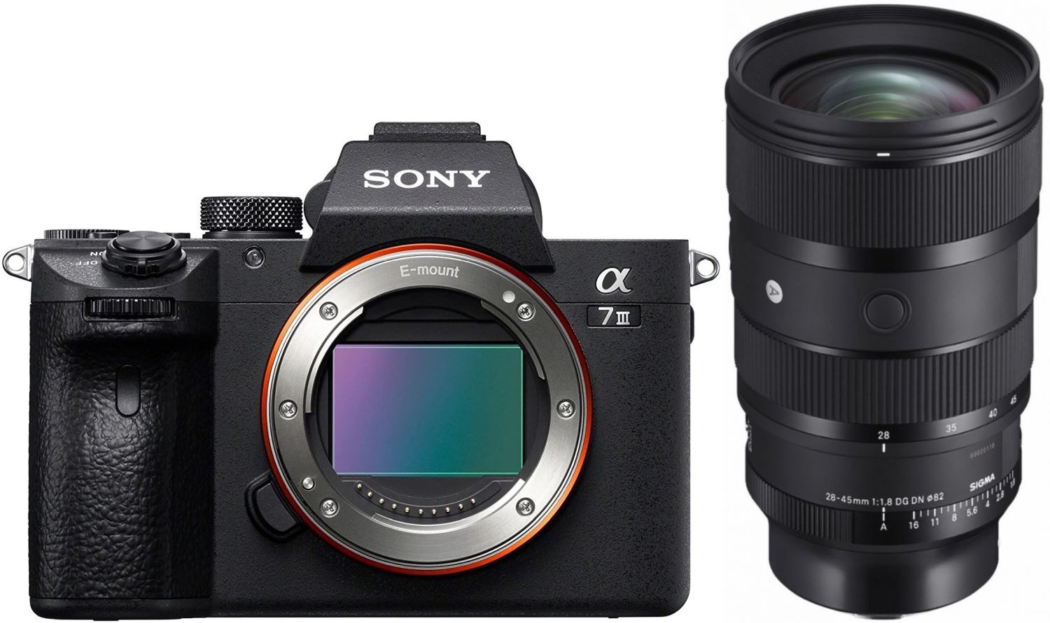 Sony Alpha ILCE-7 III + Sigma 28-45mm f/1.8 DG DN