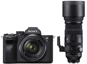 Sony Alpha ILCE-7 IV + 28-70mm + Sigma 150-600mm (45528287)