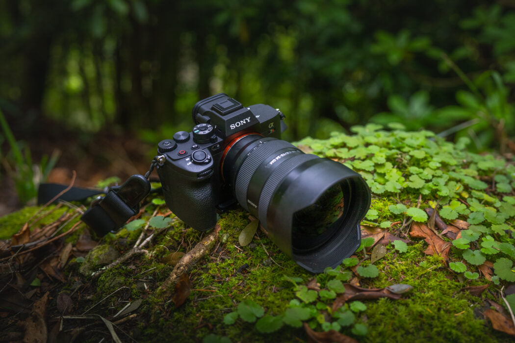 Sony Alpha ILCE-7R V + SEL 90mm f/2.8 G