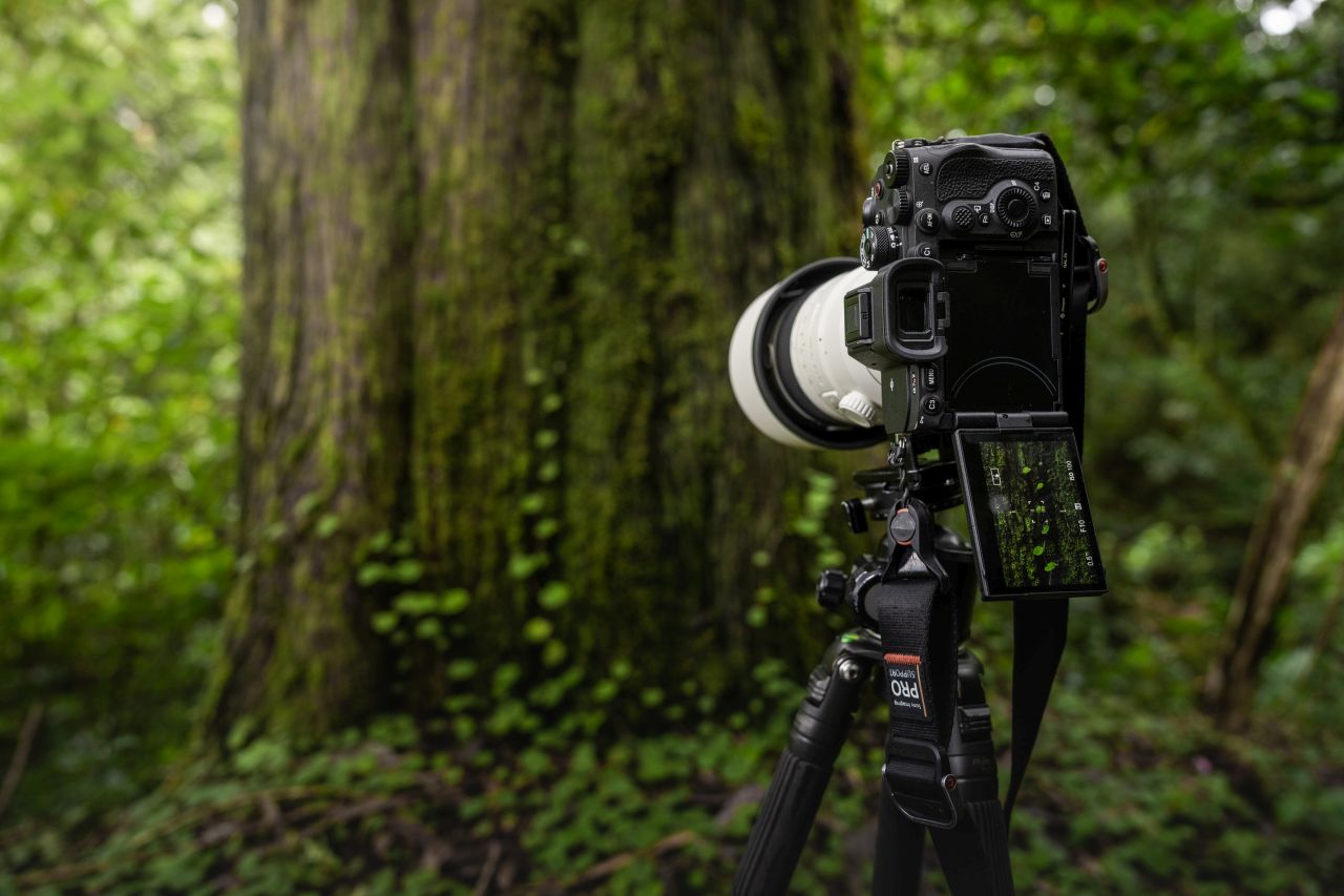 Sony Alpha ILCE-7R V + SEL FE 16-35mm f/2.8 GM II