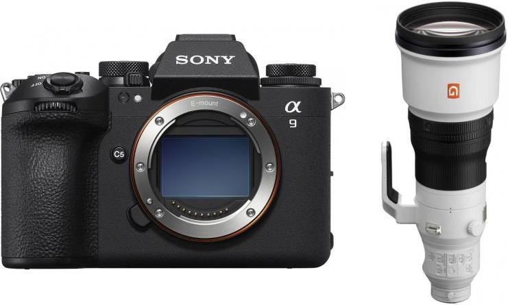 Sony Alpha A9 III Sony SEL 600mm f/4 GM OSS
