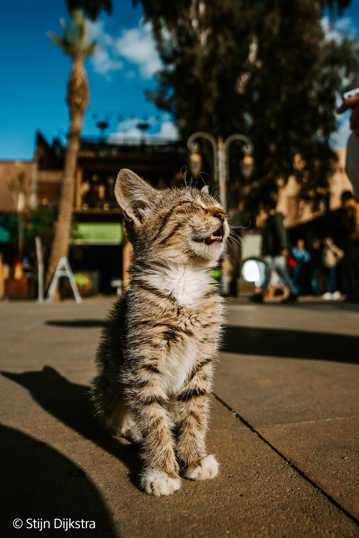 Sony SEL 16mm f1.8 G
