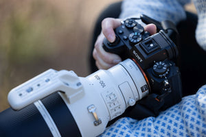 Sony SEL FE 100-400mm f4.5 GM OSS
