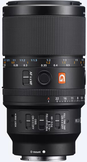 Sony SEL FE 100mm f2.8 Macro GM OSS