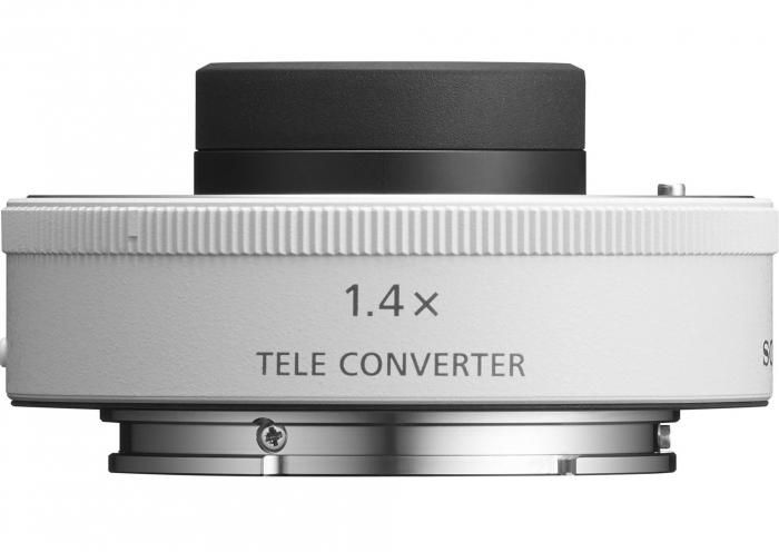 Sony SEL FE 300mm f/2.8 GM OSS + 1.4x tele-converter