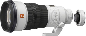 Sony SEL FE 300mm f/2.8 GM OSS + 1.4x tele-converter