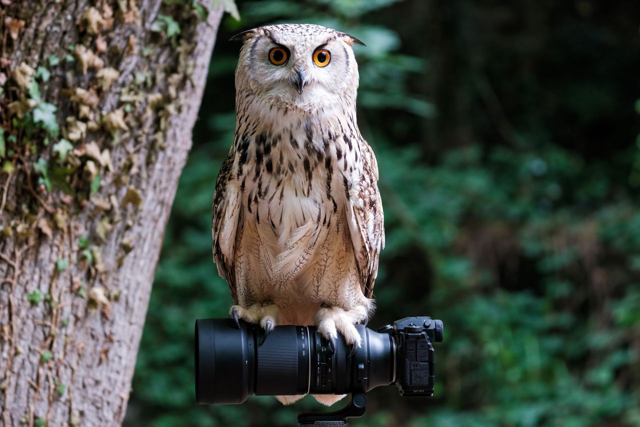 Tamron 150-500mm f/5.0-6.7 Di III VC VXD Fuji X