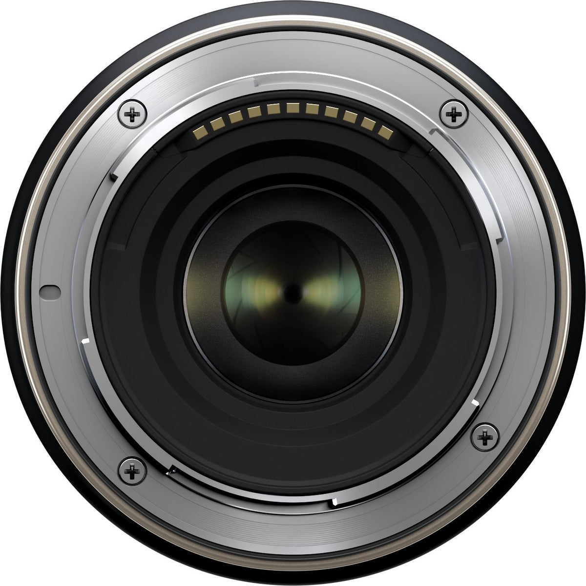 Nikon Z30 + Tamron 17-70mm f/2.8 Di III-A VC RXD