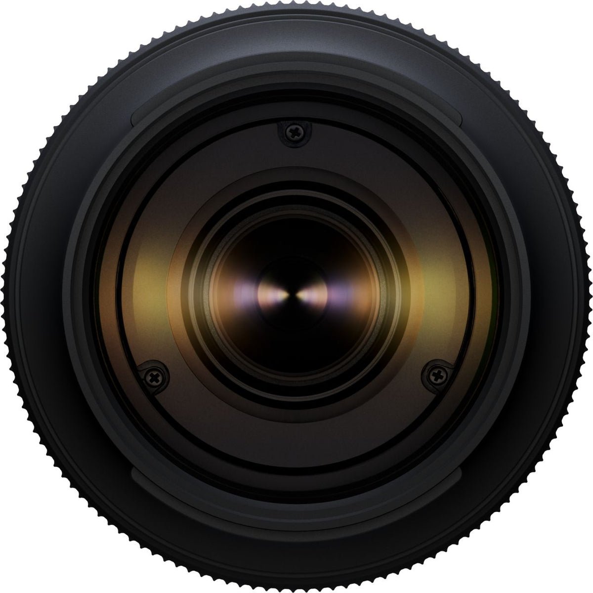 Tamron 50-400mm f4.5-6.3 + 20-40mm f2.8 Sony E-mount