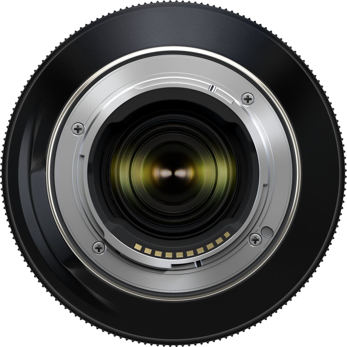 Tamron 50-400mm f4.5-6.3 + 20-40mm f2.8 Sony E-mount