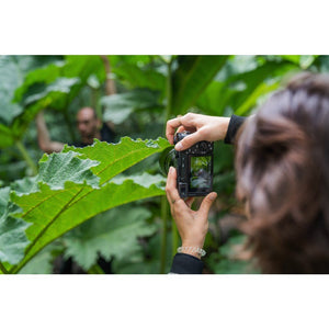 Ripresa ravvicinata di una foglia con la Sony a7CR tenuta a due mani e lo schermo ruotato