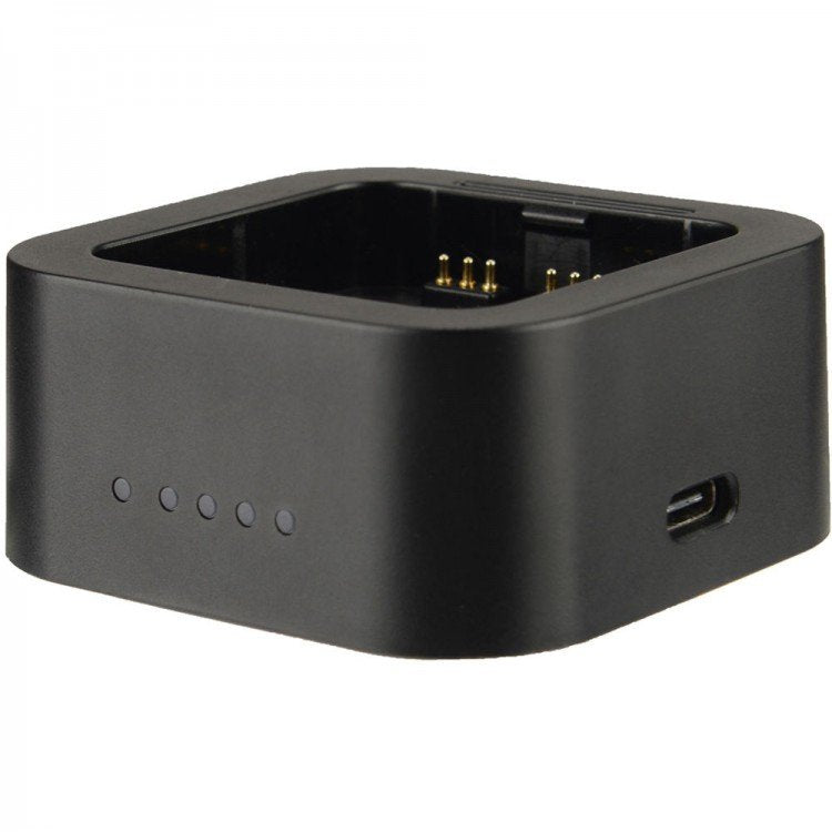 Caricabatterie USB Godox UC29 per AD200 e AD200Pro