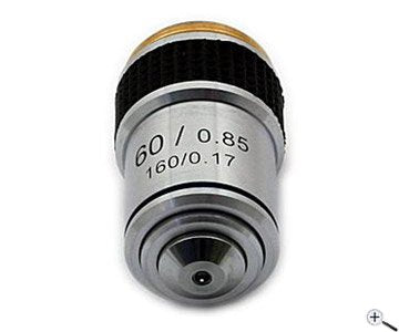 Ts Optics Obiettivo per microscopi biologici, 60x
